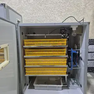 Инкубатор 352, Худжанд