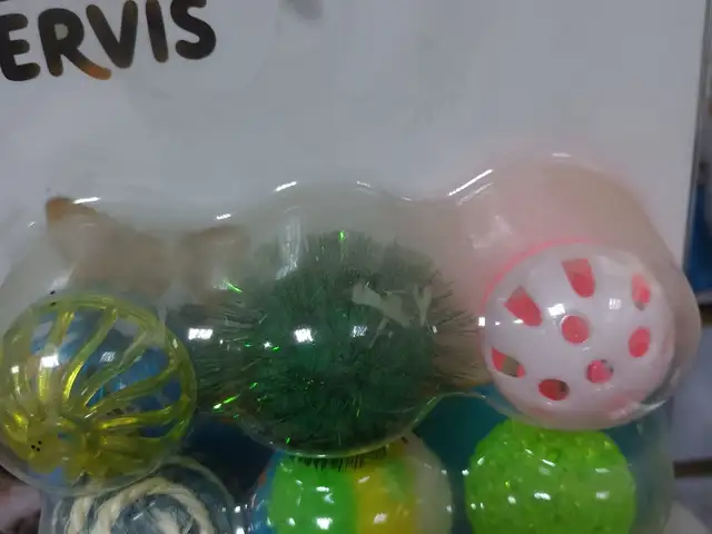 Игрушки для кошек, Хуҷанд