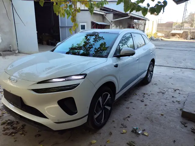 BYD Sea Lion 06, 2025, Душанбе - 2