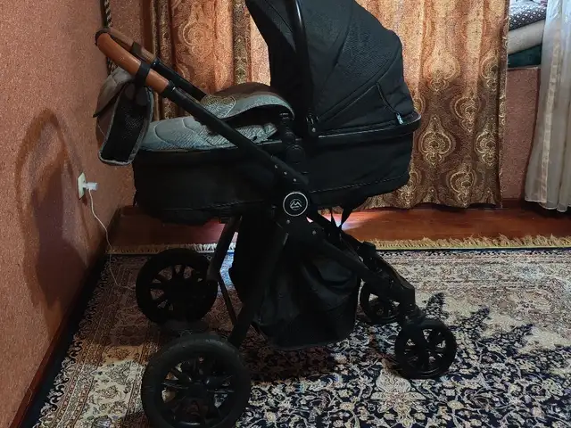 Коляска, Душанбе
