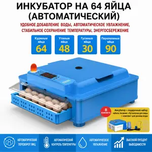 Автоматический инкубатор на 64 яйца, Душанбе