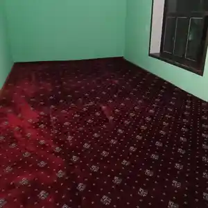 Колин, Душанбе