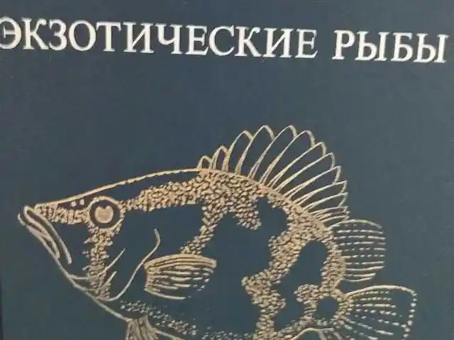Экзотические рыбы, Душанбе