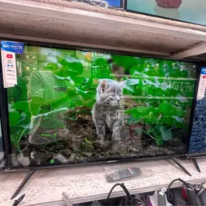 Телевизор 46, Душанбе