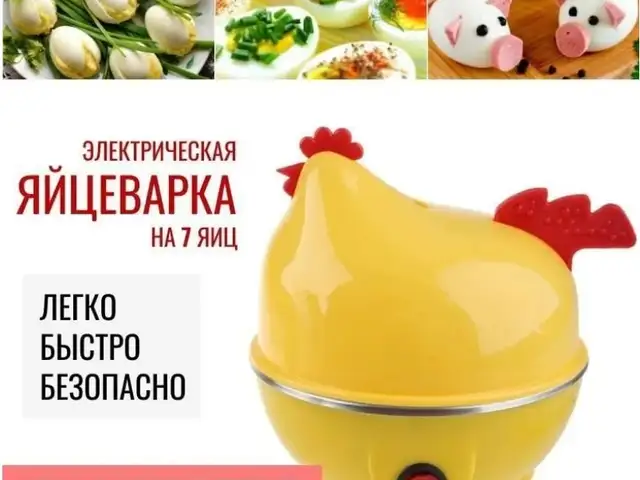 Электрическая яйцеварка, Душанбе
