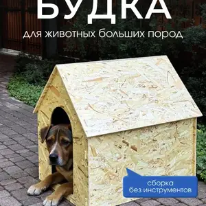 Будка для Собак, Душанбе