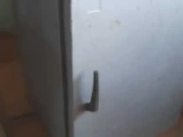 Инкубационный шкаф, Душанбе