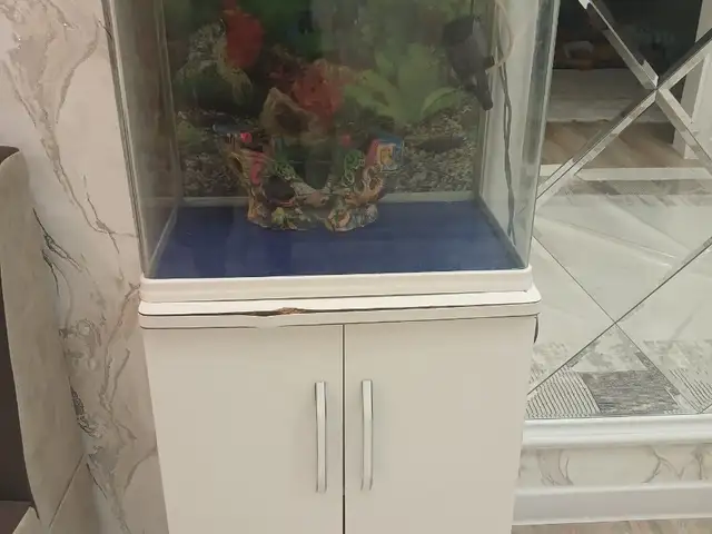Аквариум, Худжанд