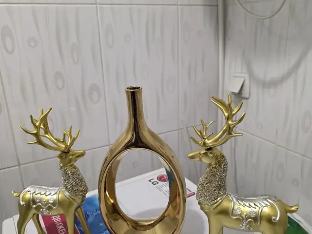 Сувенир Олени, Душанбе
