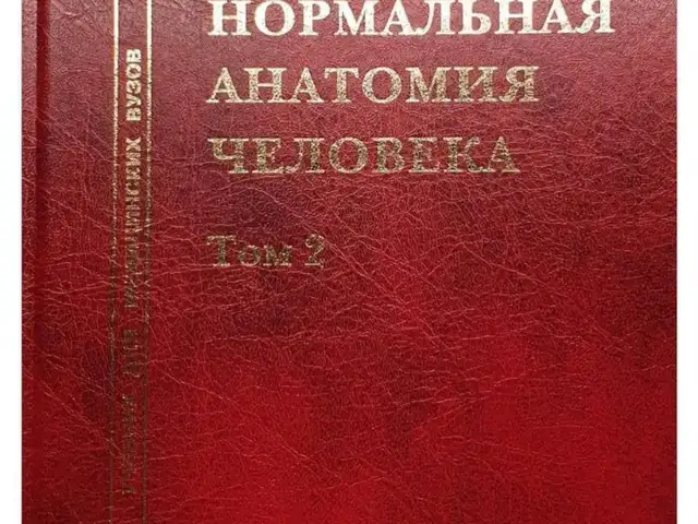 Нормальная Анатомия Человека, Душанбе