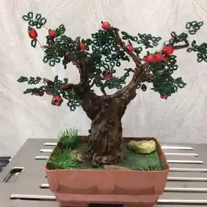 Бисерное дерево, Душанбе