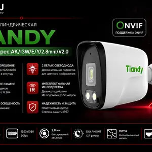 IP-камера Tiandy TC-C321N Spec AK I3W E Y 2.8mm V2.0, Худжанд
