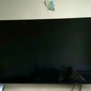 Телевизор Samsung, Бустон (Чкаловск)
