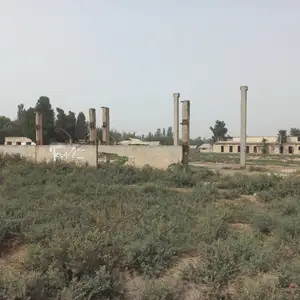 Заводи пахтатозакун, Ҷомӣ