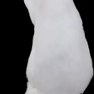 Харгуш, Худжанд