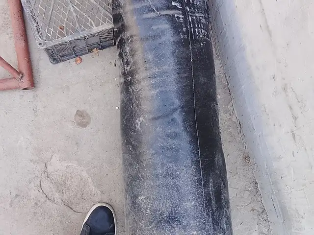 Груша, Душанбе