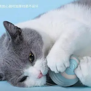 Мяч с зарядкой, Худжанд