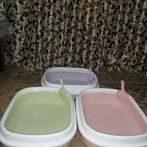 Лоток для кошек., Душанбе