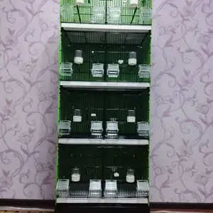 Клетка, Душанбе