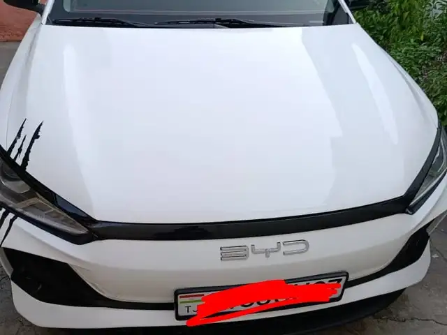BYD E2