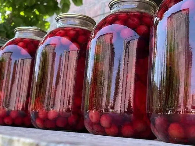 Компоти олуча, Худжанд
