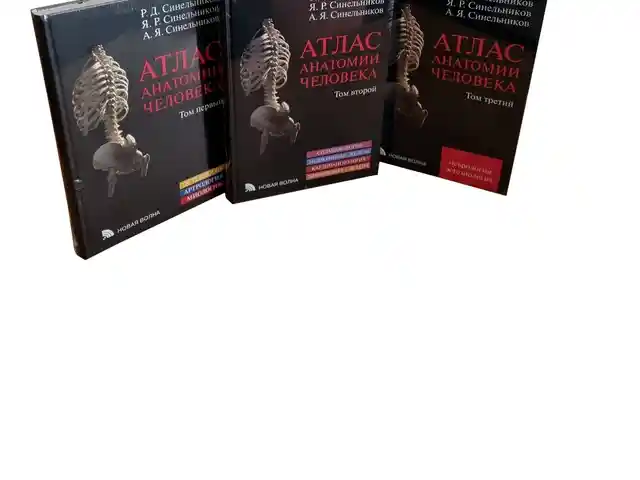 Книга Атлас анатомии человека на заказ, Душанбе