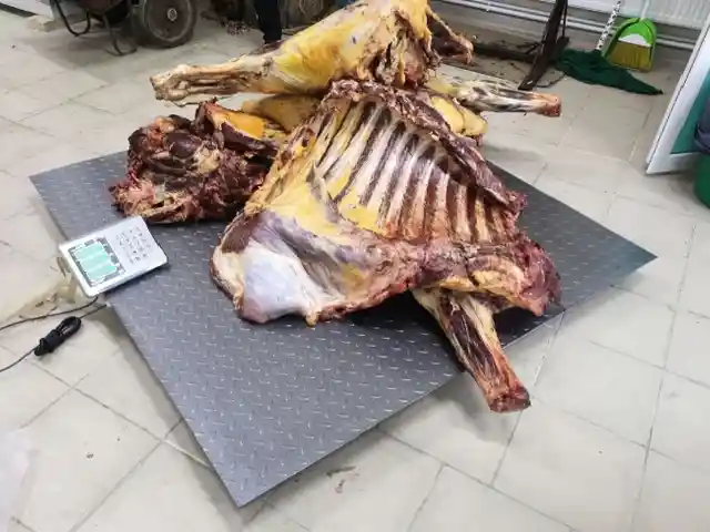 Тарозу, Душанбе