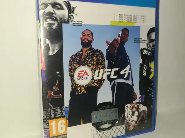 UFC 4 для PS4/PS5, Душанбе
