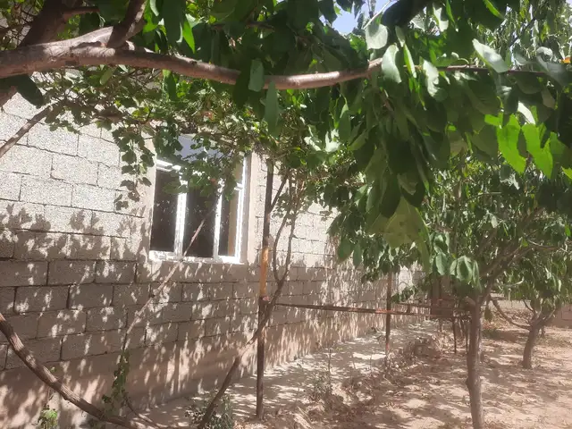 2-комн. дача, 1 этаж, 65м², Сомони, Душанбе