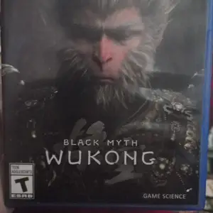 Игра Black Myth Wukong, Душанбе