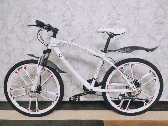 Велосипед, Душанбе