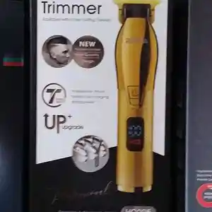 Триммер, Душанбе