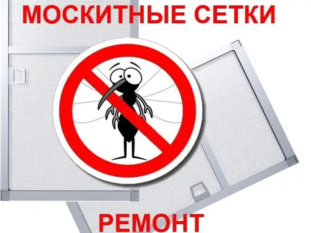 Ремонт Москитных Сеток, Худжанд