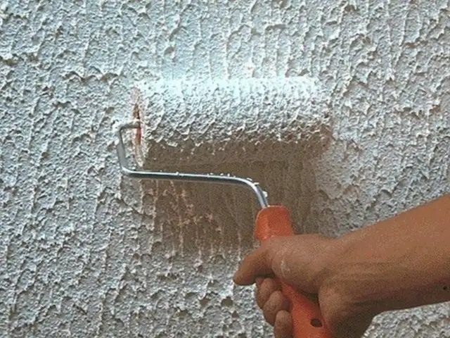 Краска шуба, Душанбе