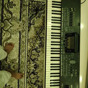 Синтезатор Korg pa, Вахш