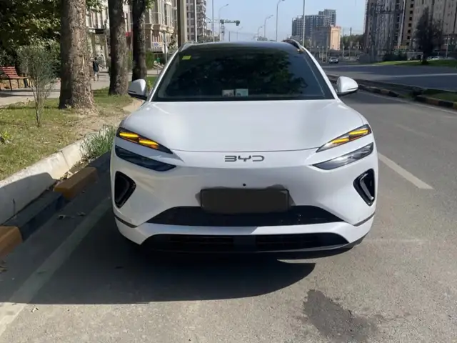 BYD Sea Lion 06