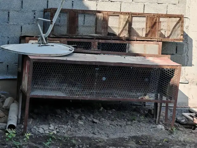 Клетка барои Харгуш, Бобоҷон Ғафуров