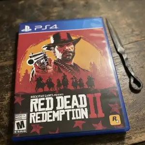 Игра Red dead redemption2, Душанбе
