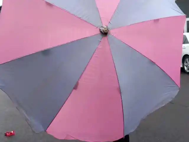 Зонтик, Душанбе