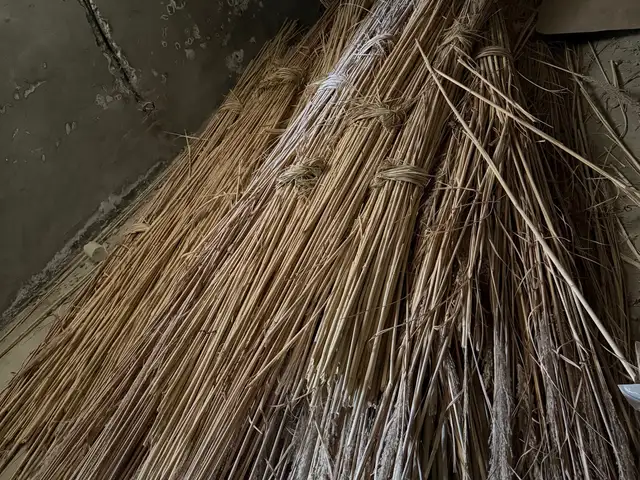 Камичь, Душанбе
