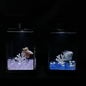 Мини аквариум Charmshine из стекла, Душанбе