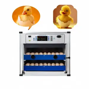 Инкубатор, Душанбе