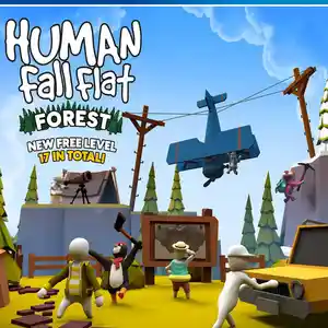 Игра Human fall flat для PS-4 / 6.72 / 9.00 / 11.00 / 11.52 / 12.02 /, Душанбе