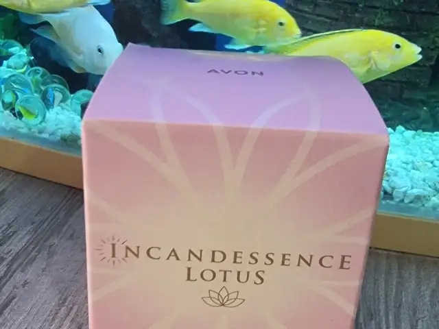 Духи Incandessence, Худжанд