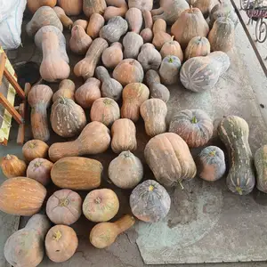 Каду, Хуҷанд