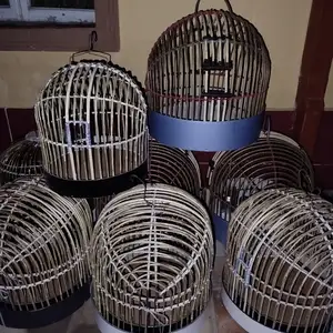 Кафас барои кабк, Худжанд