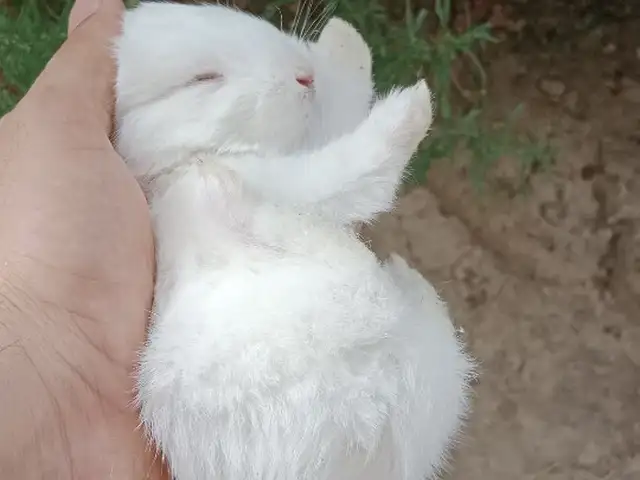 Харгушча 9км, Душанбе