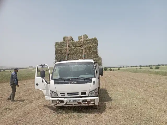 Бортовой автомобиль Isuzu, 2013, Файзабад