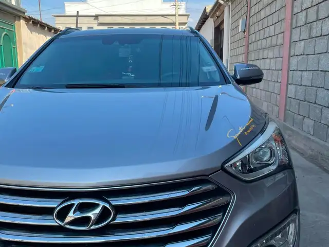 Hyundai Maxcruz