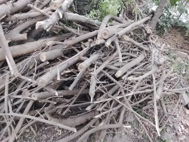 Хезум, Душанбе